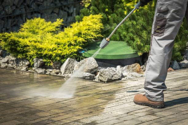Best Gutter Cleaning  in Gadsden, AL