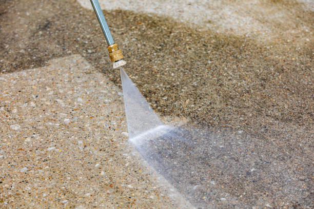 Best Animal Enclosure Cleaning  in Gadsden, AL